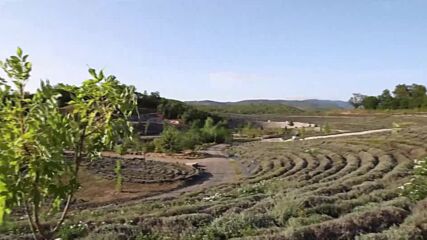 Пресъздадоха картината „Звездна нощ” на Ван Гог като тематичен парк (ВИДЕО)