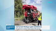 Шофьор загина след челна катастрофа между два камиона в Плевенско