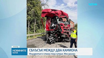 Шофьор загина след челна катастрофа между два камиона в Плевенско