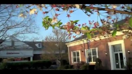 Funky Dancing Tree 