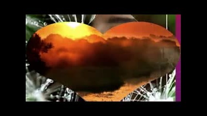 Miroslav Ilic-volecu te do kraja zivota_xvid