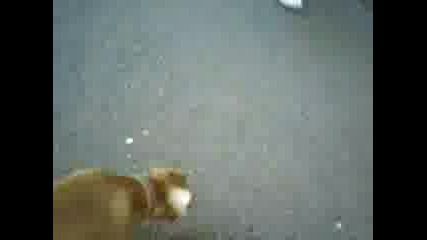 Bruno I Sedo