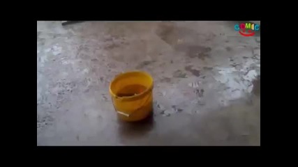 Руски риболов пред блока!