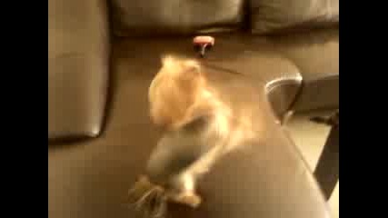 Vid_20120929_144617