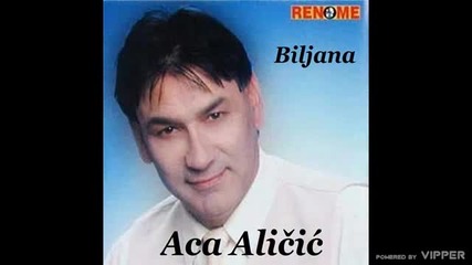 Aca Alicic - Biljana - (audio 2003)