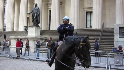 Очарователен Дог (frenchie!)играе с кон от Конна полиция(nypd),на Wall Street