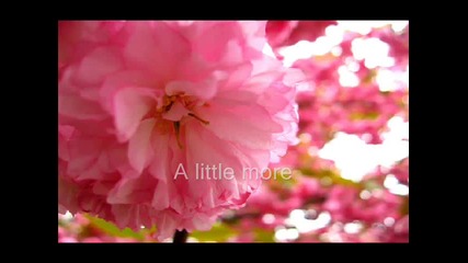 Skillet- A Little More (with lyrics)