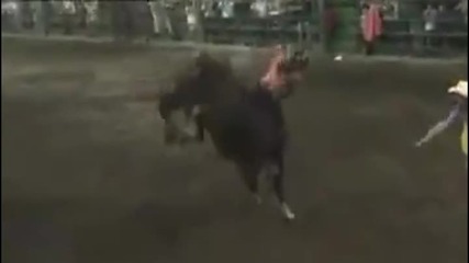 Момиче язди бик на родео