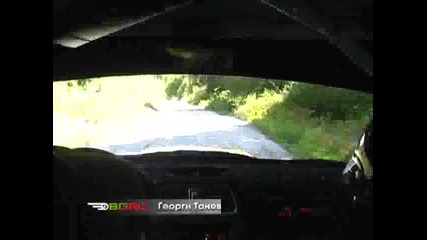Рали