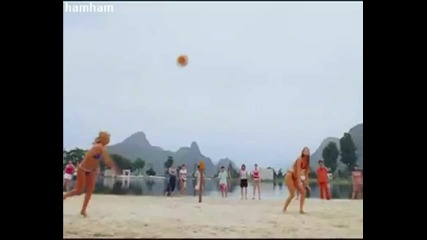 Мацки играят волейбол 