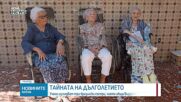 Тайната на дълголетието: Учени изследват три бразилски сестри, чиято обща възраст е 316 години