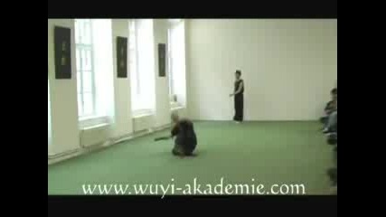 Wushu Basics & Streches
