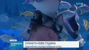 Новините на NOVA (11.02.2026 - 9.00)