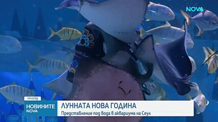 Новините на NOVA (11.02.2026 - 9.00)