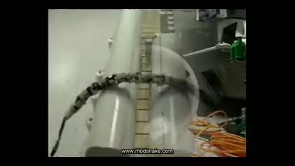 робот - Змия