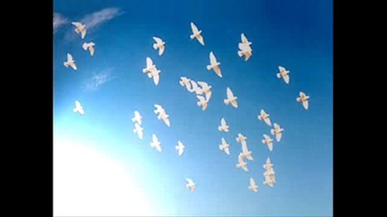 Justin Hayward - Broken Dream