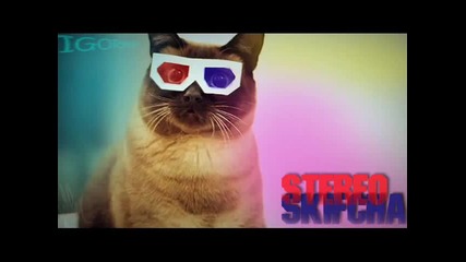 Stereo Skifcha - Full Song