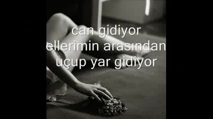 Can Gidiyor.