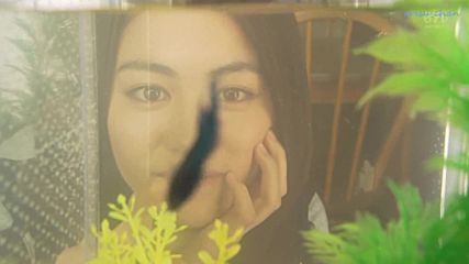 Eng Shark S02 E04