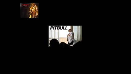 Pitbull - Hotel Room Service