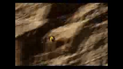 Mountain Wingsuit