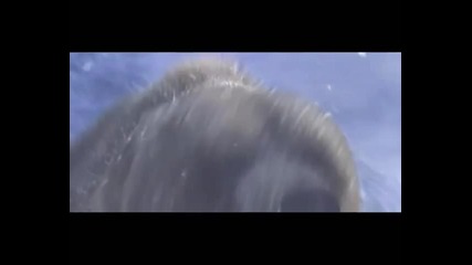 Warcraft - King Of Kings