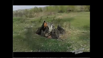 Исус Христос  Вистински  Бог  и човек!!