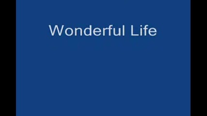 Gwen Stefani - Wonderful Life