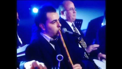 Nancy Ajram-mestaniak