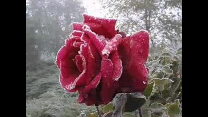 Ebru Yasar - Sevemem