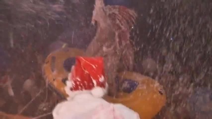 Remi Gaillard celebrates his comeback