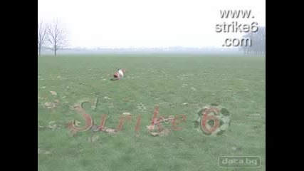 Куче Захапва Крака На Футболист