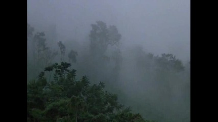 Predator (1987) - Bg Subs [част 4]