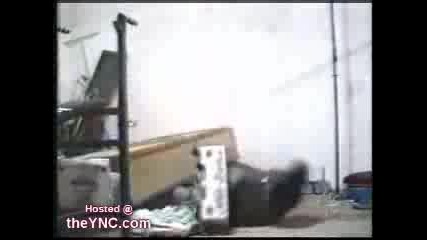 Смешни Инциденти