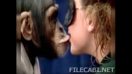 Момичета целуват маймуна 