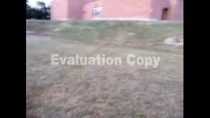 Stupid Videos Preview