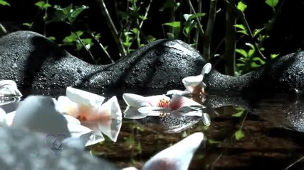 Pavel Panin - Flash De Amor