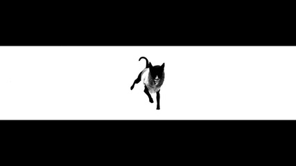 Dephzac - U Do It Right
