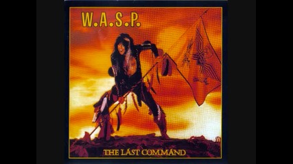 W.a.s.p.-jack Action