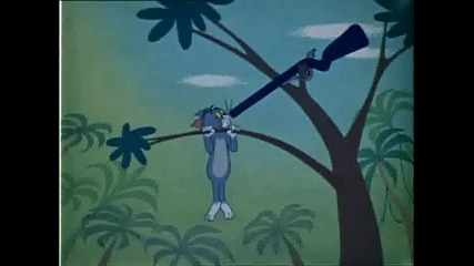 Tom and Jerry - Sorry Safari.avi 