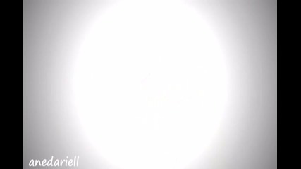 Fly 1/2
