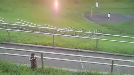Котешки релакс!