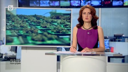 Вашингтон пуска марихуана за свободна продажба