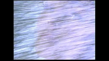 Sandra--heaven Can Wait