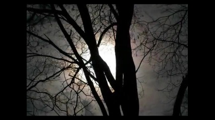 Silence - Sarah Mclachlan
