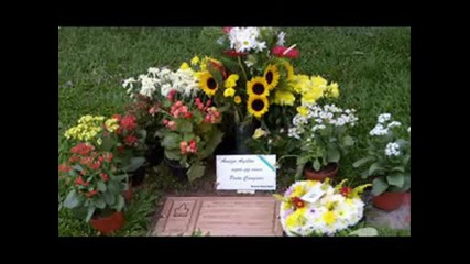 Tribute to Ayrton Senna (funeral,  racing and crash photos)