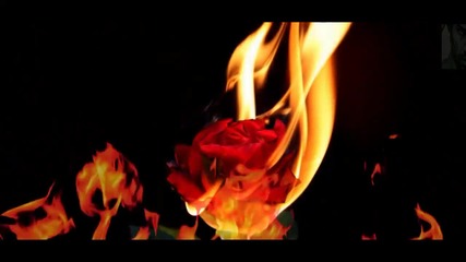 Daniela de Santos-рози и пламъци