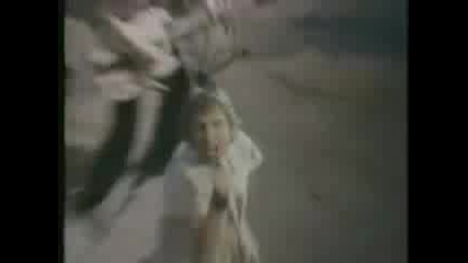 The Animals - The Night