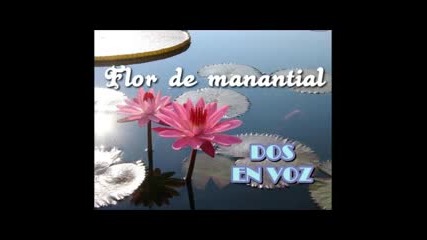 Flor de Manantial - Dos En Voz