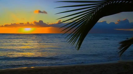 Релаксиращо видео! Плажовете на Хавай.